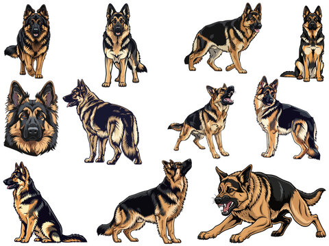 King Shepherd dog 11 profile poses bundle pack vector illustration