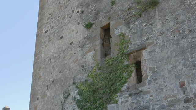 Ancient stone tower wall with narrow and climbing ivy castle window medieval