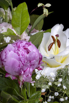 Macro shot of Peony (Paeonia lactiflora), Lisianthus (eustoma russellianum grandiflorum), baby's breath (gypsophila repens) and lily (lilium longiflorum)  flowers in a bouquet .