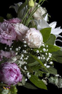 Macro shot of Peony (Paeonia lactiflora), Lisianthus (eustoma russellianum grandiflorum) and baby's breath (gypsophila repens)  flowers in a bouquet .