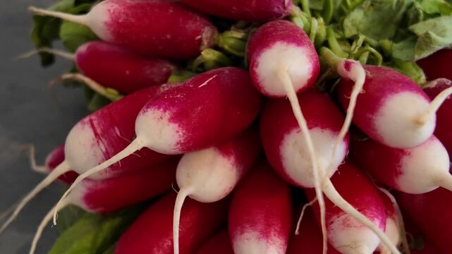 Radish close-up cinematic view. Macro shot of radish . Radish in slow motion.