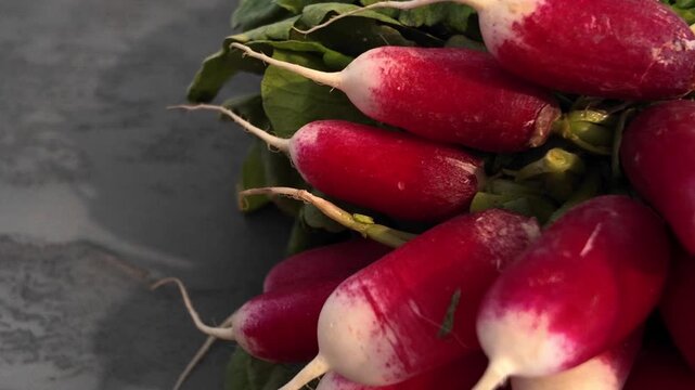 Radish close-up cinematic view. Macro shot of radish . Radish in slow motion.