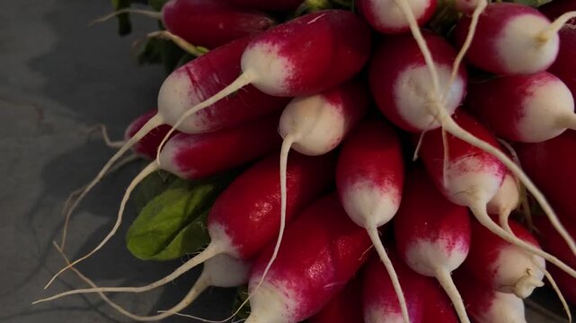 Radish close-up cinematic view. Macro shot of radish . Radish in slow motion.