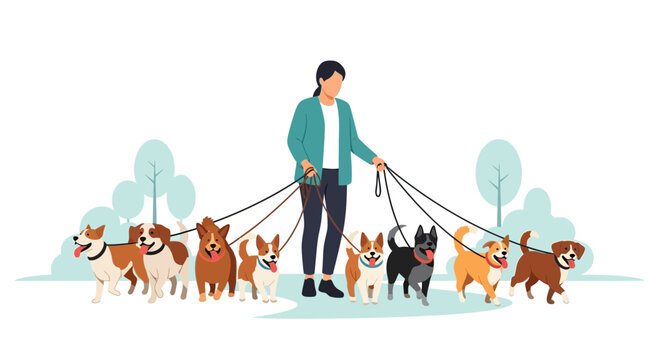 Man walking multiple dogs on leashes.