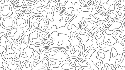 Fototapeta premium Abstract topographic contour line map pattern in black and white with topographic, abstract
