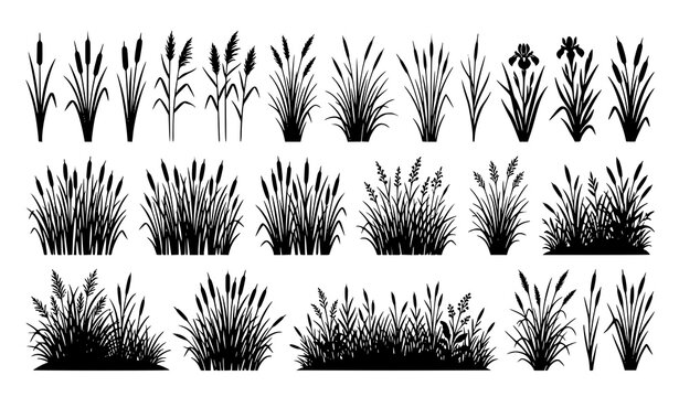 Wild cattail and reed silhouette vector with swamp and coastal plant elements
