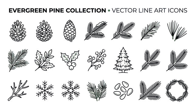 Evergreen Pine Line Art Icons.