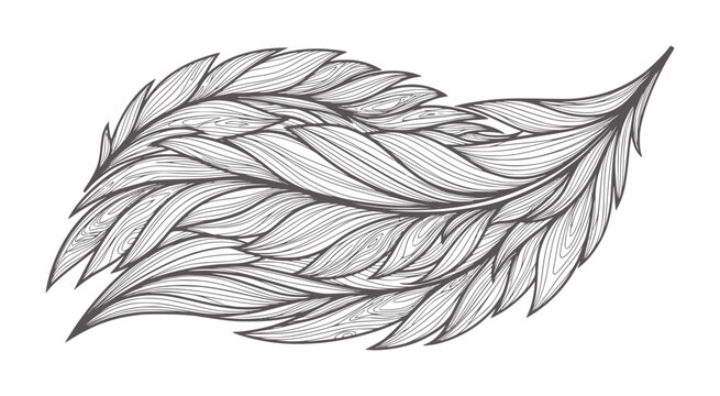 Ink feather with intricate flowing line pattern texture