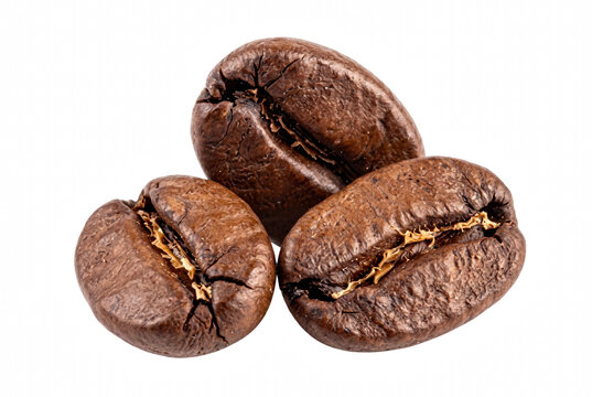 Trio of Premium Roasted Coffee Beans