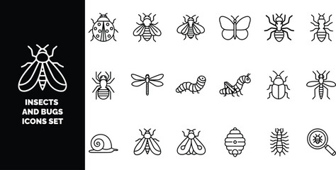 Set of seventeen black and white line featuring various insects, bugs, and a magnifying glass with a beetle, style © ico-vect