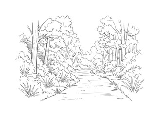 Fototapeta premium Winding forest path beside a stream with trees and foliage