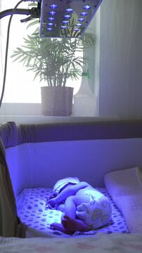 Tiny newborn infant sleeping in a crib during a home phototherapy session, undergoing blue light treatment for neonatal jaundice to help break down high bilirubin levels