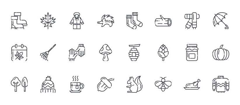 24 outline Autumn Elements web icons such as turkey roast, acorn nut, honey jar, rake tool, socks. Thin vector symbols for report, presentation, web design and mobile app