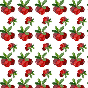 Seamless pattern with vector cranberries and green leaves on white background