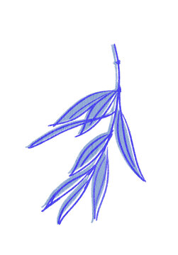 Blue botanical olive branch sketch