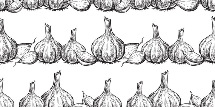 Ripe garlic vegetable sketches seamless pattern, vector food background, wallpaper, black and white hand drawings, in row