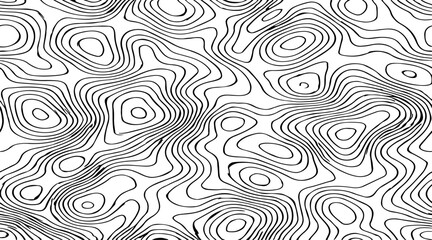 Obraz premium abstract topographic contour lines vector illustration design black and white monochrome abstract landscape texture, decorative cartographic elements and contemporary graphic artwork for backgrounds.