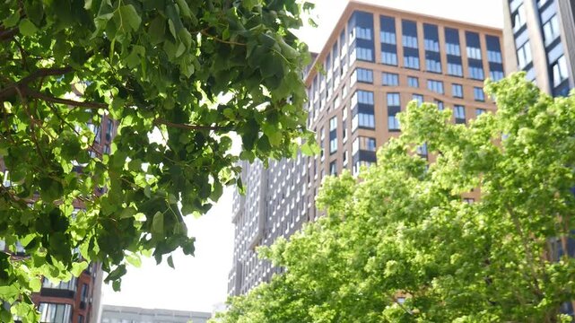 Modern residential building shot through green trees in downtown. Urban nature and architecture. nature and development. Business District with Corporate Futuristic Cityscape. 4 k video