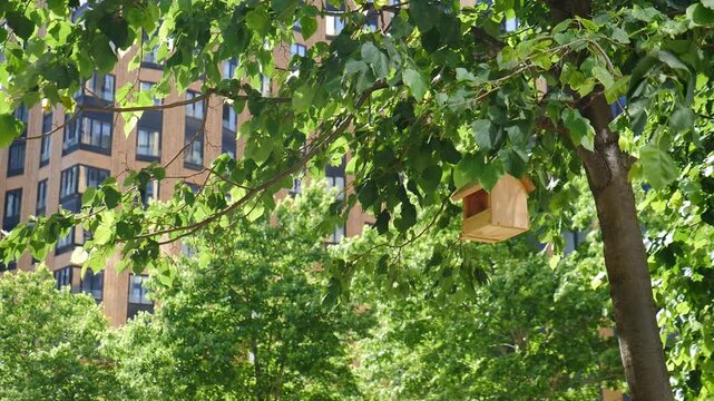 Modern residential building shot through green trees in downtown. Urban nature and architecture. nature and development. Business District with Corporate Futuristic Cityscape. 4 k video