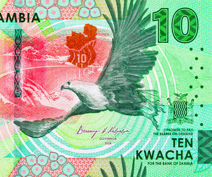 10 Kwacha Zambia with the image of a dam and an Eagle. Money of Zambia and Africa.