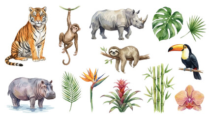 Fototapeta premium Hand painted rainforest nature collection with wild animals and tropical foliage isolated on white. Collection of Vector illustrations for invitation, card, poster, banner, decoration