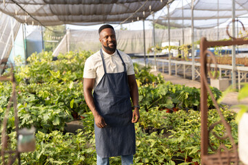 Obraz premium Mid adult African American man standing in greenhouse wearing denim apron and inspecting plants