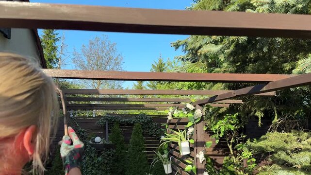 Woman painting wooden garden pergola on terrace with protective wood stain