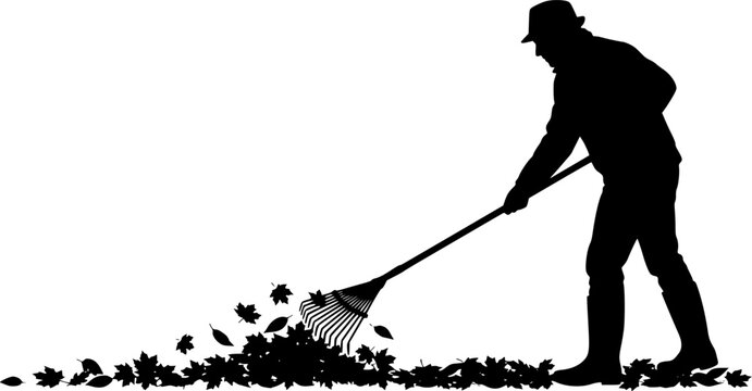 Black silhouette of person raking autumn leaves with rake isolated on white background

