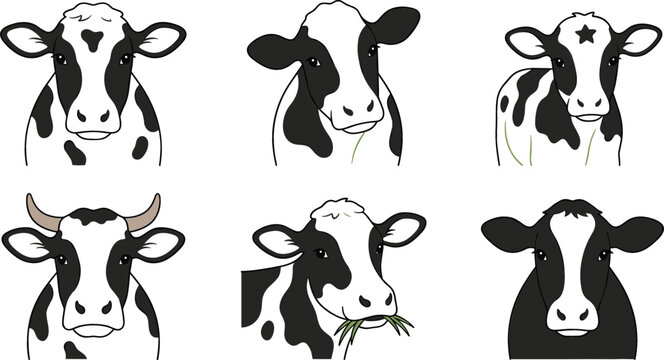 Cute dairy cow head vector illustration set featuring black and white spotted Holstein cattle faces eating grass with horns