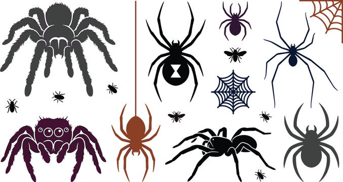 Spider silhouette vector elements set featuring tarantula black widow jumping spider cobwebs and insects for halloween graphic designs