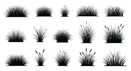Collection Of Grass Silhouettes In Black And White Varied Shapes And Heights Silhouette © Ms sumu