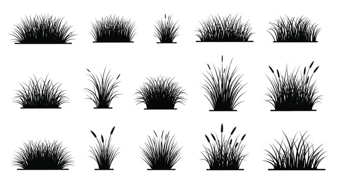 Collection Of Grass Silhouettes In Black And White Varied Shapes And Heights Silhouette