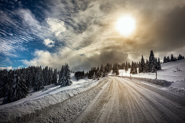 Obraz premium Snow-covered asphalt road passing through a pine forest on Mount Kopaonik in Serbia