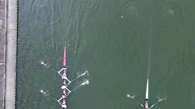 Aerial top-down drone view of two single scull rowers training side by side near the embankment of a calm canal in summer the narrow boats and oars leaving gentle ripples on the green water.