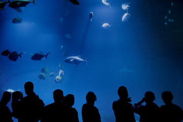 Oceanarium - Zoo Wrocław © Radosław Dybała