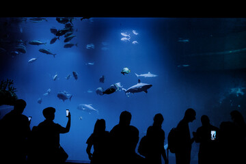 Oceanarium - Zoo Wrocław © Radosław Dybała