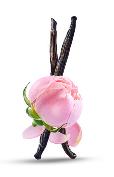 Rose petals with vanilla slick in closeup