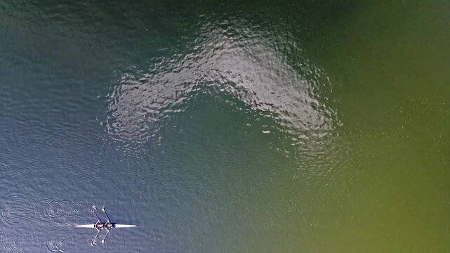 Aerial top-down drone view of a lone single scull rower crossing open green water in summer the small boat and oars leaving ripples in a minimalist water sport scene with abundant copy space.