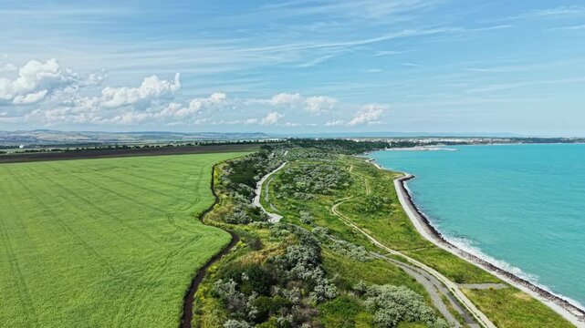 A view of a coastal area showing green fields next to water. A winding path runs along the shore. Fluffy clouds float above in a bright sky. The ocean is blue and calm.