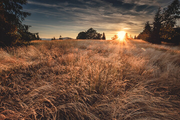 Hala Jaworowa - Beskidy © Radosław Dybała