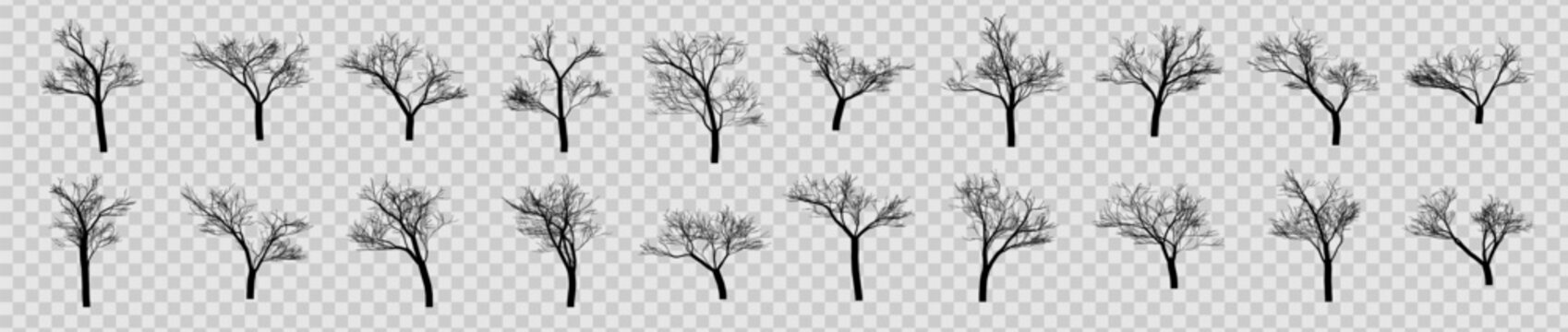 Mega collection of 20 black bare tree silhouettes. Large set of leafless winter trees and dead trunks isolated on transparent background for landscape architecture and spooky design.