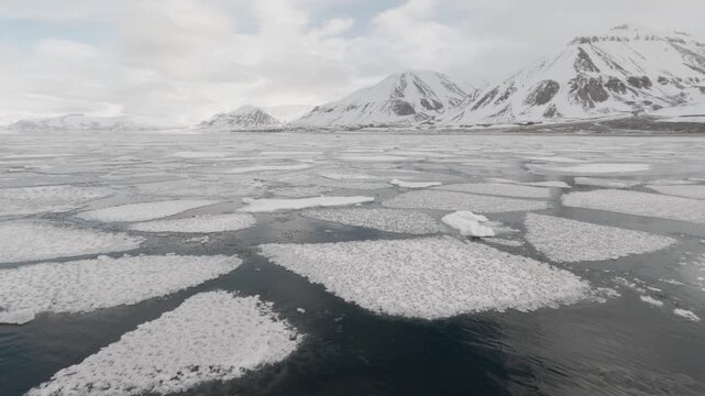 Arctic Sea Ice Floes Drifting Through Svalbard Fjord, Norway