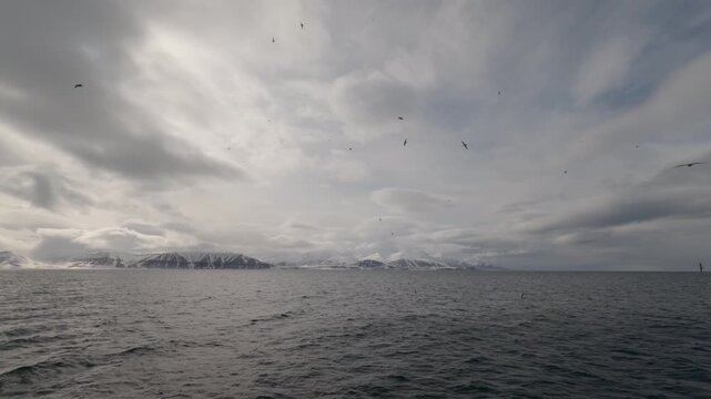 Northern Fulmars Flying Above Arctic Ocean in Svalbard, Norway