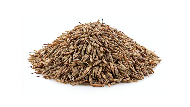 Macro studio shot of a pile of dry cumin seeds isolated on a white background