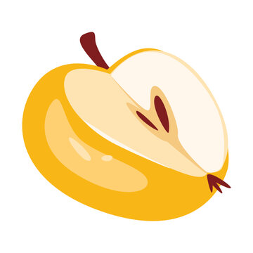 Half yellow apple. Vector illustration of fresh sliced fruit isolated on white background. Autumn harvest	