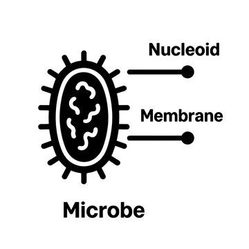 Microbe diagram with labeled nucleoid and membrane for educational use