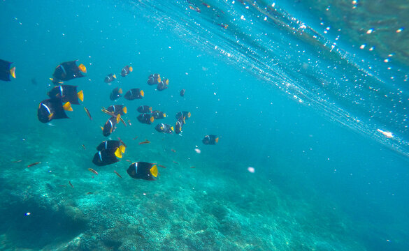 foto bajo el mar