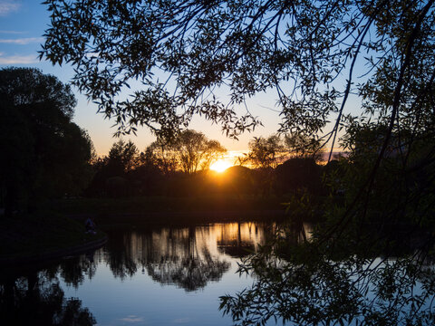 Beautiful sunset over calm pond framed by dark tree branches in foreground. Scenic evening landscape with golden sun rays reflecting in water. Perfect template for your projects.