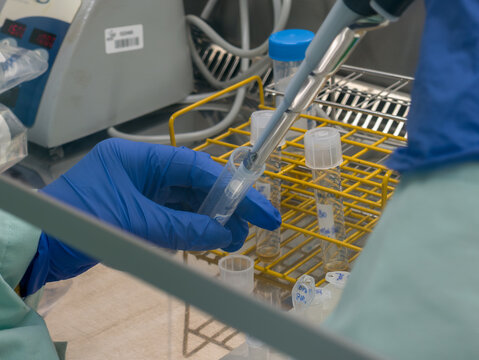 Brussels, Belgium. Scientist pipetting biological sample into test tube under laminar flow hood in biosafety level 2 laboratory