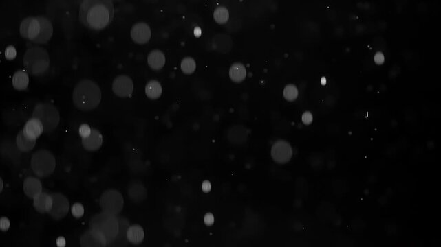 Fall Magic Snowflakes. Small white particles flow in the air on a black background. Slow Motion